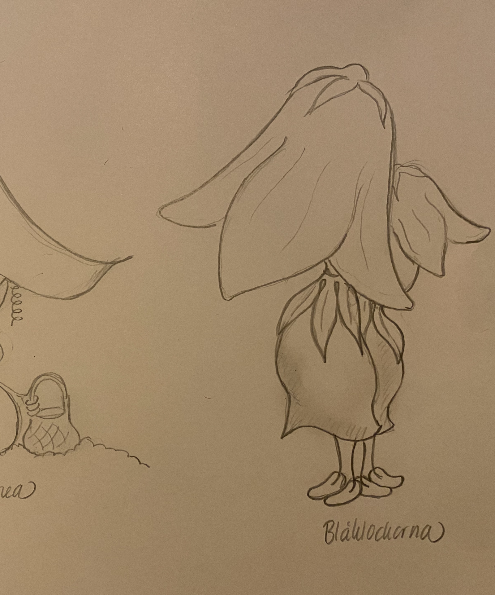 Sketch for the Bluebell illustration by Justmimmi